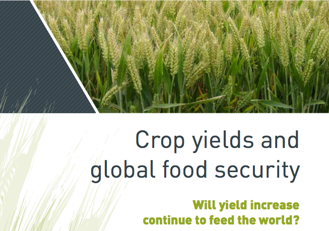 Rendimiento de los cultivos y la seguridad alimentaria mundial. Podrán los aumentos del rendimiento seguir alimentando al mundo?
