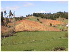 POSICIÓN DE LA ACADEMIA CHILENA DE CIENCIAS AGRONÓMICAS