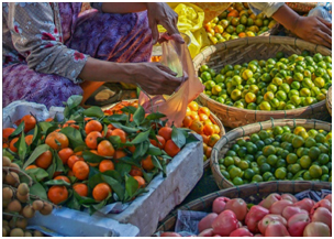 CREANDO UN FUTURO ALIMENTARIO SOSTENIBLE