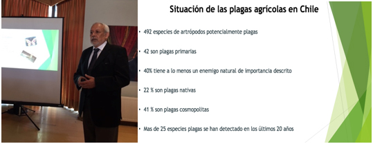 Nuevo Académico Correspondiente