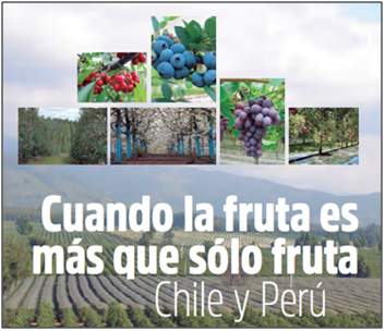 “Tendencias y oportunidades de la fruticultura en la Región del Maule”