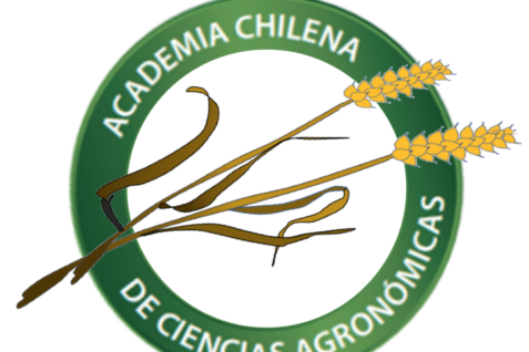 Nuevo Directorio de la Academia (período 2021-2023). 