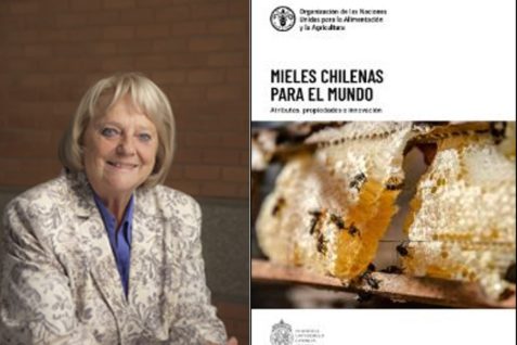 GLORIA MONTENEGRO RIZZARDINI PUBLICA UN NUEVO LIBRO SOBRE LAS MIELES CHILENAS